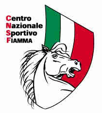 fiamma 1