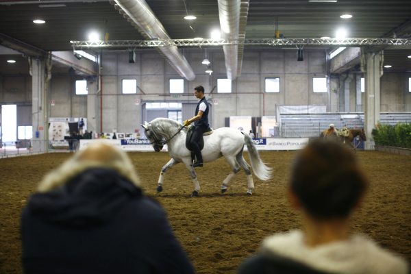 fieracavalli 2016 0 1