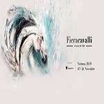 fieracavalli 0 1