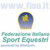 fise2 1