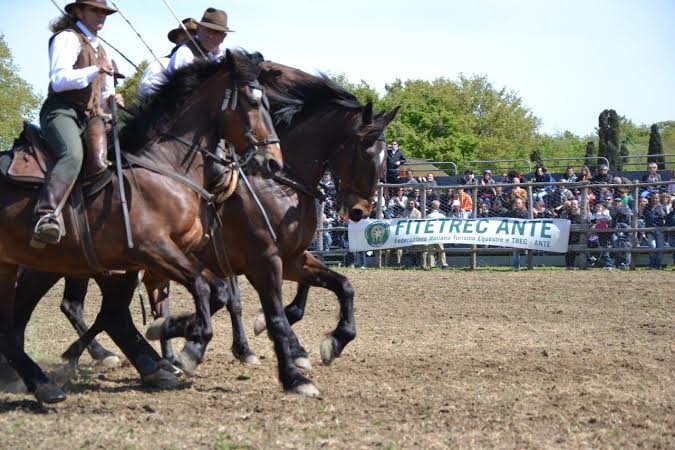 Viterbo prepares for “Festa della Merca”. 1 fitetrec ante maremma 1