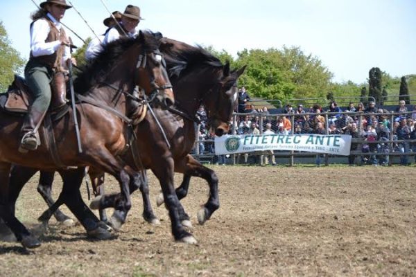 fitetrec ante maremma