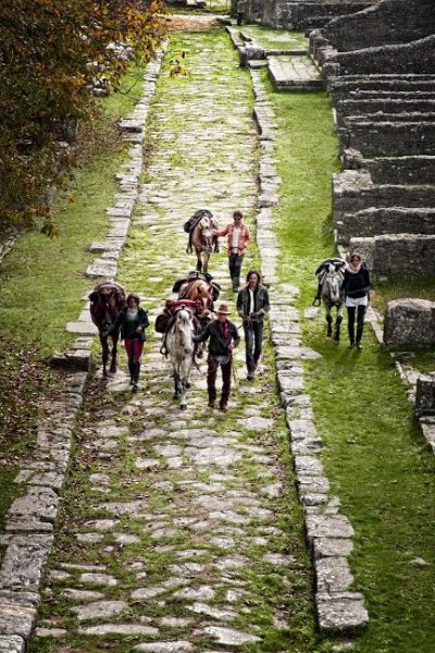fitetrec ante molise