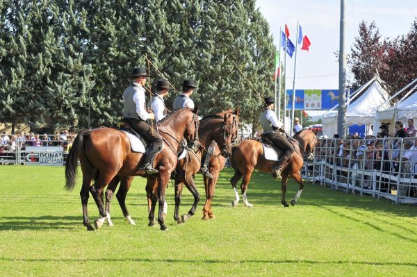 fitetrec ante monta da lavoro 1