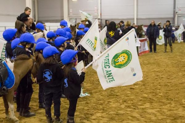 fitetrec ante pony
