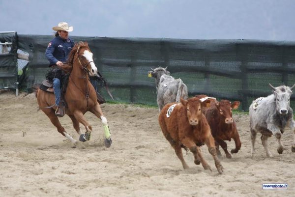 fitetrec ante vitelli