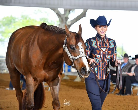La Florida Gold Coast Quarter Horse Circuit inizia con numeri da record 1 florida goald coast quarter horse. 0