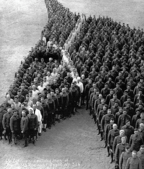 foto cavalli in guerra