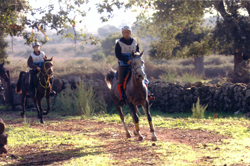 gagliano su siria di pegaso