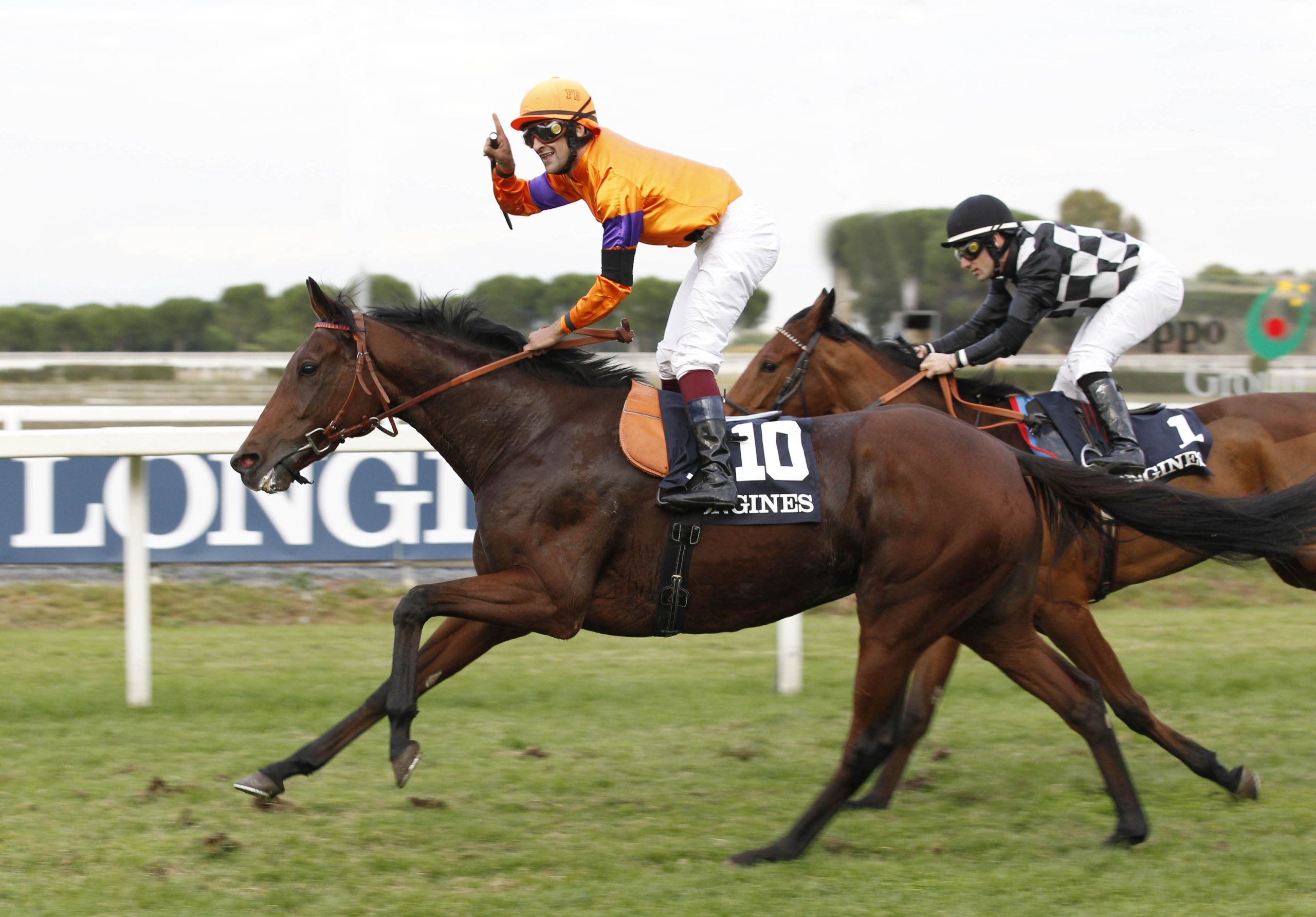 Trionfa il made in italy nel Premio Longines Lydia Tesio con Quiza Quiza Quiza 1 galoppo 7 scaled