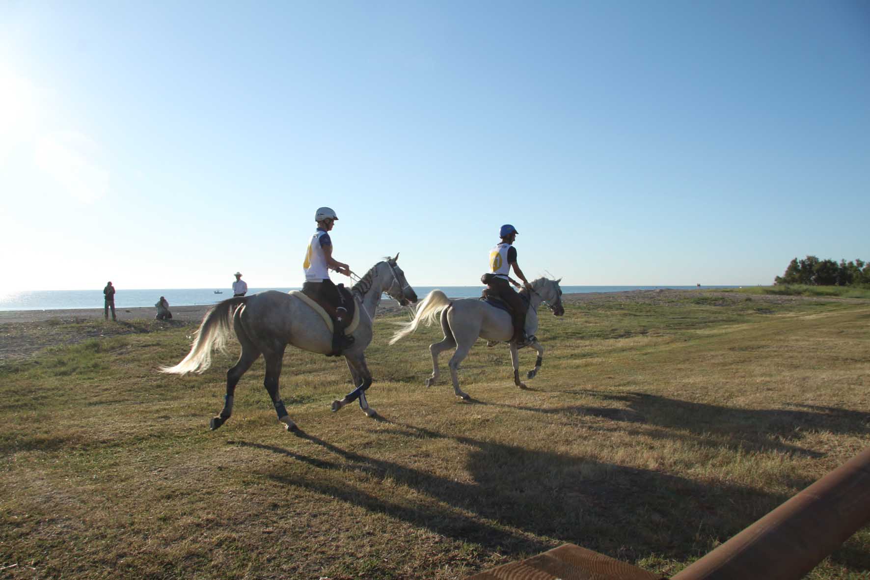 MEYDAN E SARDEGNA ENDURANCE LIFESTYLE INSIEME PER FARE SISTEMA INTORNO AL CAVALLO 1 gara 199