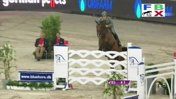 gaudiano e cocoshinsky 1