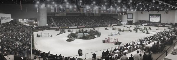 ginevra 2016 campo