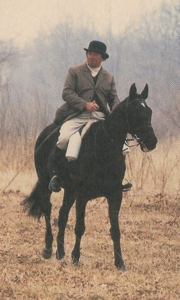 gino picasa
