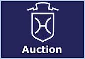 Events: Holsteiner Verband Spring Auction 1 holst 1 1