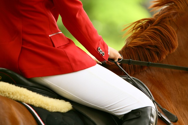Mountain Horse Price di Falsterbo, il via alle gare. 1 horse 3165771 6401