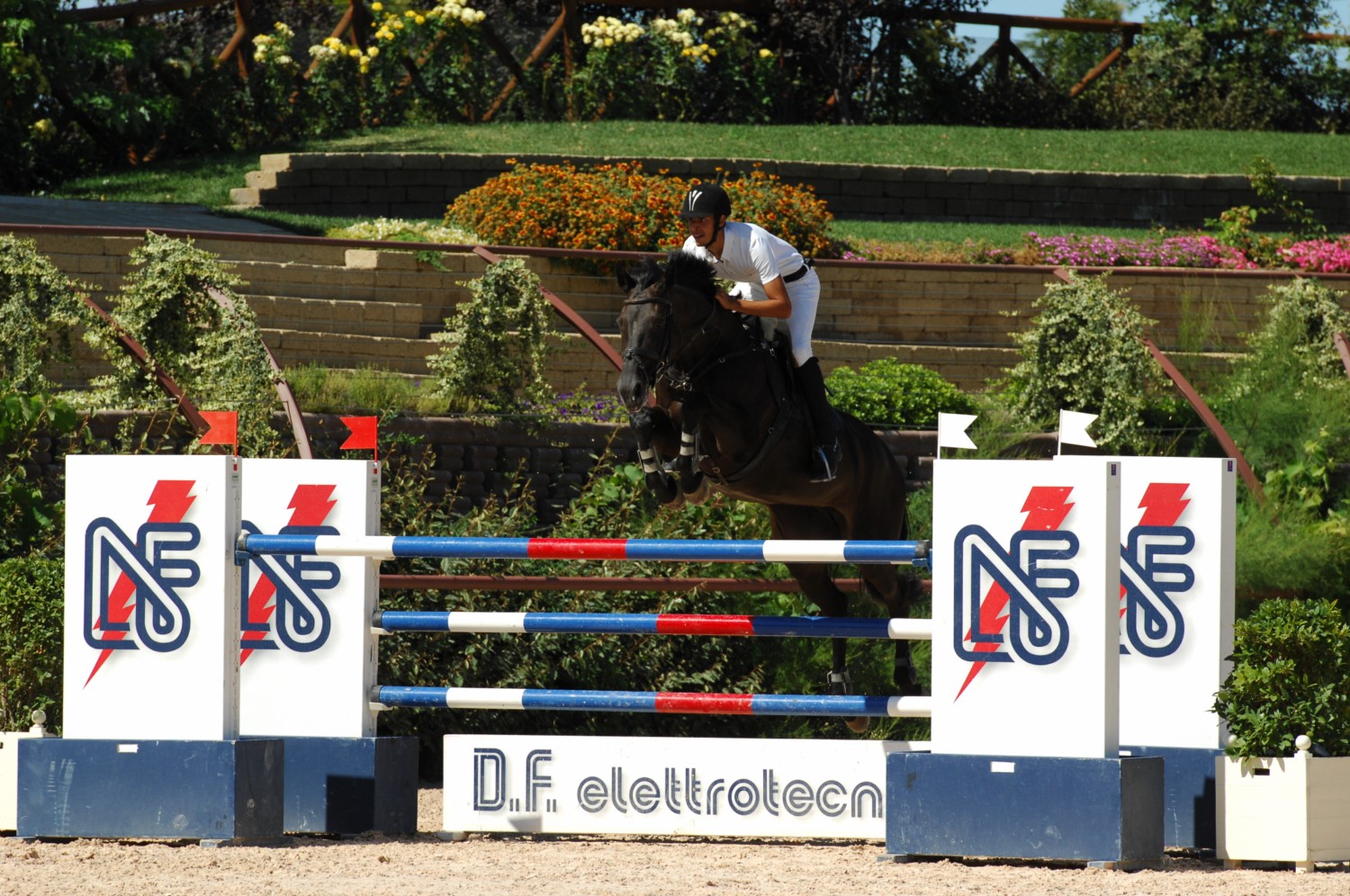 ERNESTO COLANTUONI E STREAKER PROTAGONISTI A CATTOLICA 1 horse riviera resort generica