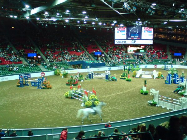 horse show