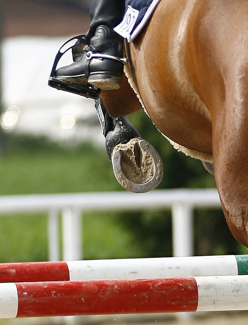 Show-Jumping World Cup in Madrid the stand-out event this weekend. 1 horse 5 1