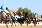horseball