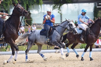 Horseball, uno sport in crescita 1 horseball 0