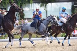 horseball 1 1