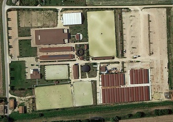 horses le lame dallalto