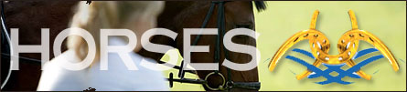 CSI3*: al Riviera Horses di Cattolica un weekend di grande equitazione 1 horses riviera
