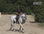 hsj tecnica equestre 36