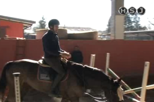 hsj tecnica equestre 44