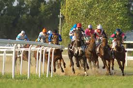Un CCE riapre l’ippodromo del Poetto di Cagliari 1 images 5