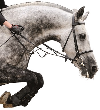 Longines Masters of Paris, appuntamento alla prossima settimana 1 img29