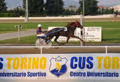Nadir Kronos nel Città di Torino con molti pretendenti. 1 ippodromo TO