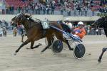 ippodromo arcoveggio1 7