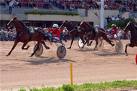 G.P. della Vittoria. Opal Viking ci prova all'Arcoveggio. 1 ippodromo arcoveggio 13
