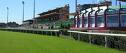 ippodromo capannelle 1