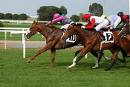 ippodromo capannelle4 1