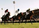 ippodromo capannelle 2