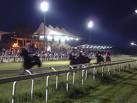 ippodromo casalone 3