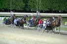 ippodromo cesena1 2