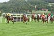 ippodromo deauville 1