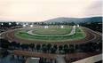 ippodromo firenze