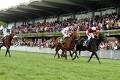 ippodromo le cascine