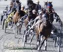 ippodromo montegiorgio 2