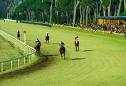 ippodromo pisa