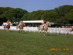 ippodromo san rossore 2