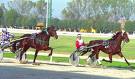 ippodromo tor di valle 4