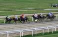 ippodromo varese 1