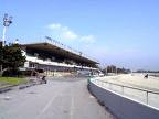 ippodromo vinovo1 1