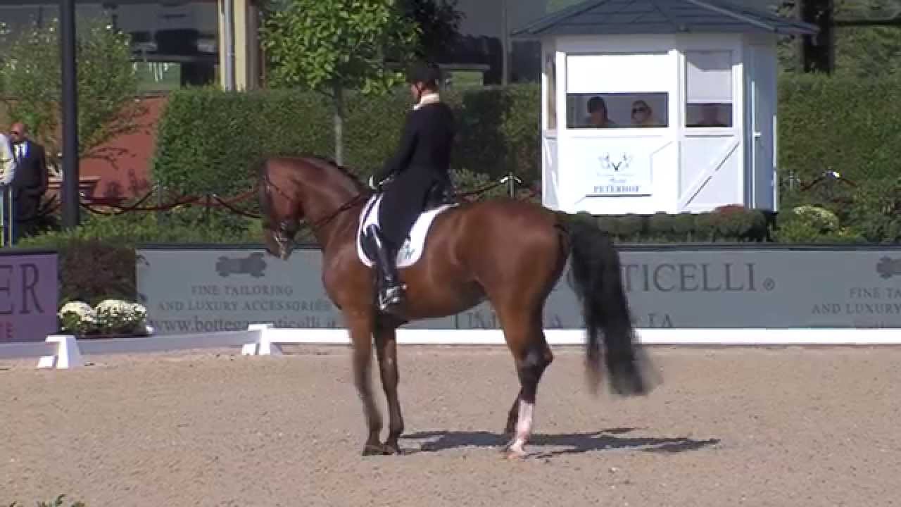 Dressage: grande Isabell Werth a Göteborg 1 isabell werth emilio